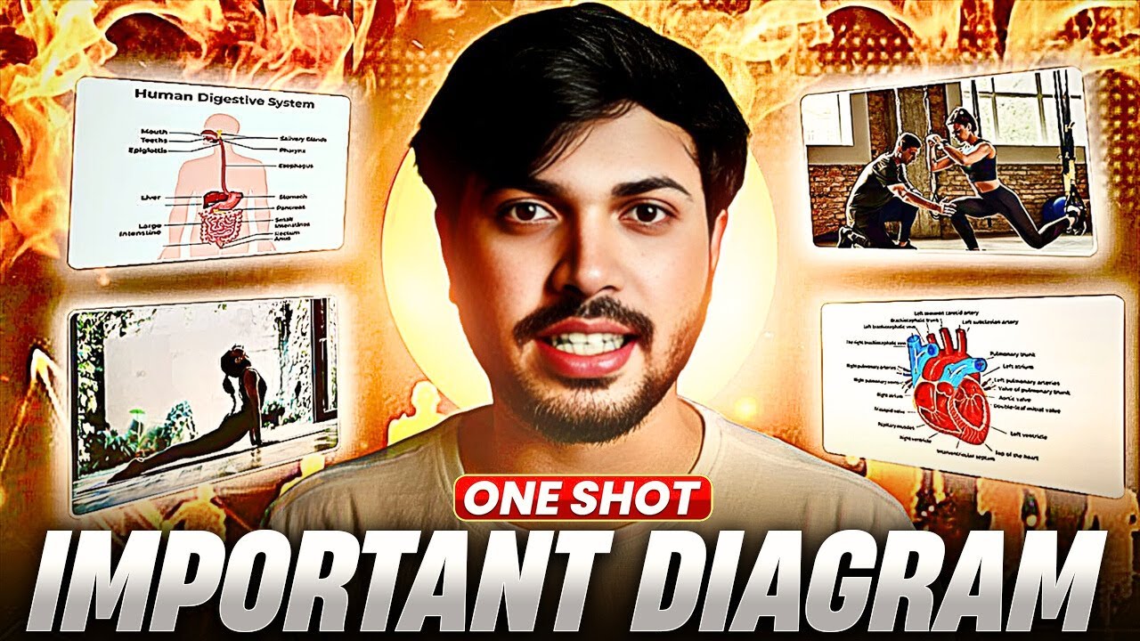 Important Diagram of Physical Education🔥 Class 12 CBSE 2025-26 | Mission 100/100 in PE