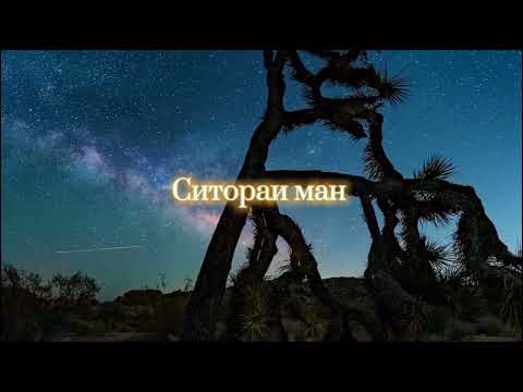 Даниель Рустамов -