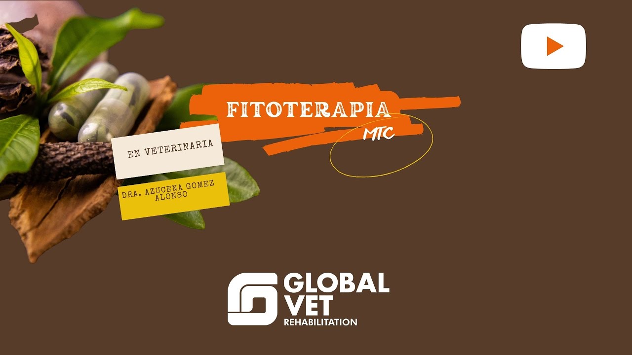 Fitoterapia en la Rehabilitación Veterinaria. Lic. Veterinaria Azucena Gomez Alonso.
