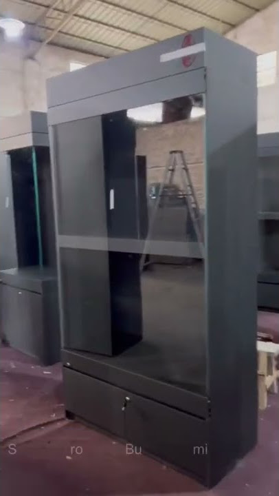 CHINA PROFESSIONAL MANUFACTURER MUSEUM DISPLAY CASE DESIGN