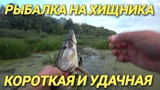 Зачётная щука.Клёвая рыбалка Зачётная щука.Клёвая рыбалка