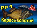 русская рыбалка 4 карась золотой, фарм для новичка