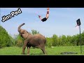 ถ้าเกิดไม่มีคลิปมายืนยัน คงไม่เชื่อว่ามันจริง Amazing moments Caught on Camera