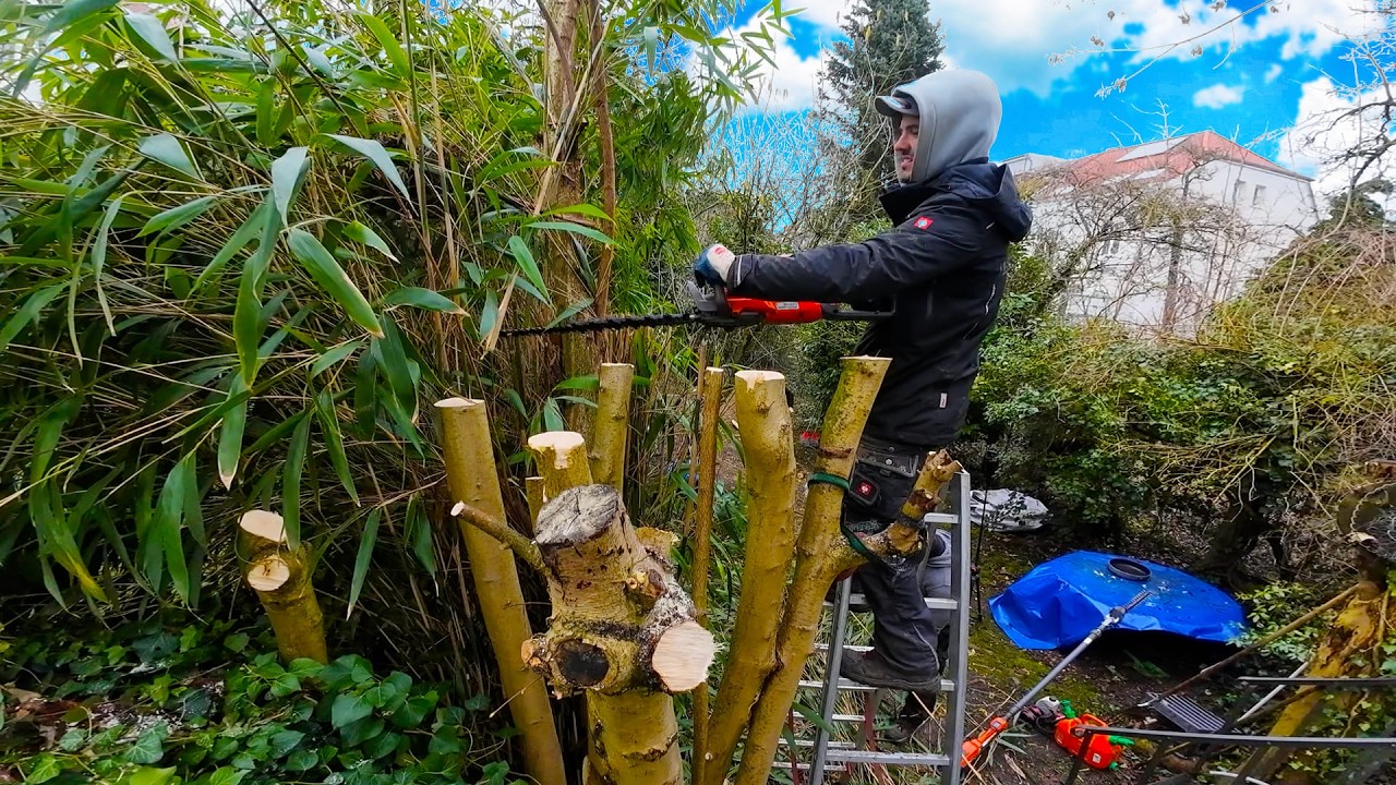 THIS OVERGROWN GARDEN NEEDED SERIOUS HELP...