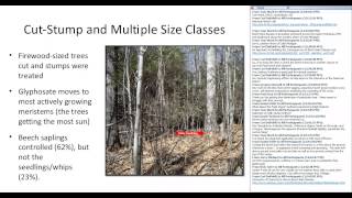 Ecology and management of American beech (2015 Webinar)