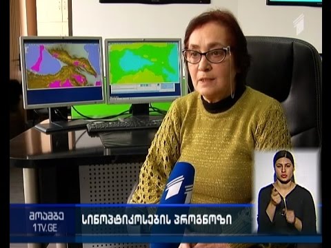 თვის ბოლომდე არამდგრადი ამინდი შენარჩუნდება