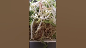 #shorts rau bắp chuối & giá | dung an suong | dung an suong travel