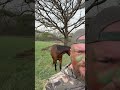 Made some pals out hunting turkeys…#turkeyhunting #horses #goodlife #loganmize #countrymusic