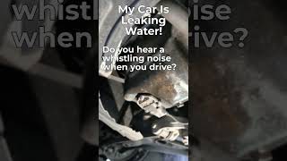 My car is leaking water