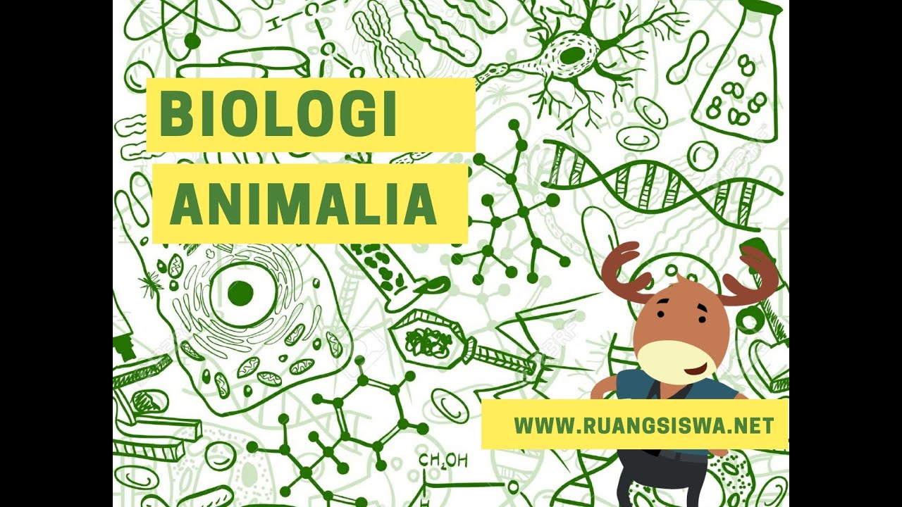 Biologi Kingdom Animalia Kelas 10 Kode Soal 10B12120063 - YouTube