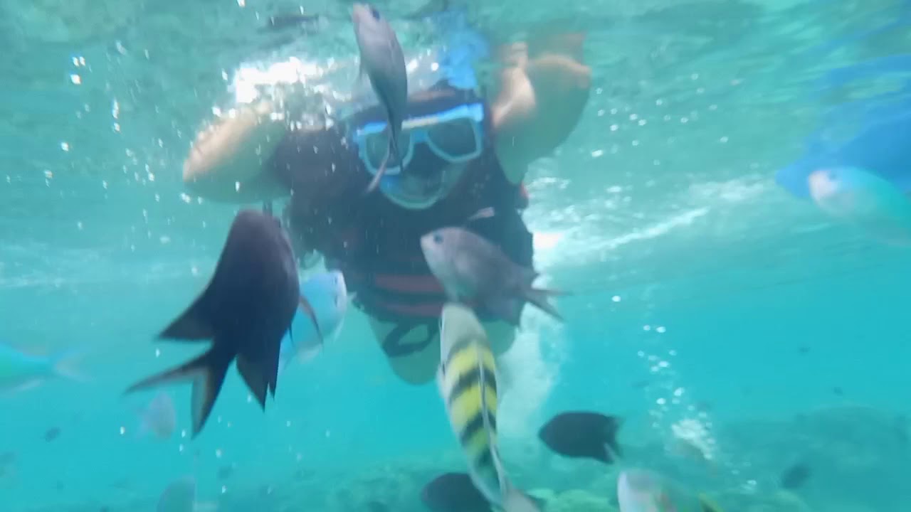 Snorkeling At Puerto Galera Philippines Nov 01 2019 Youtube 