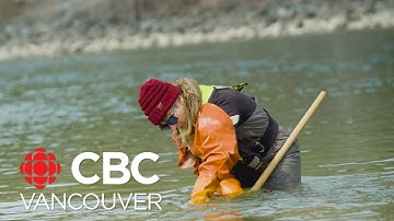 Tracing the impact toxic mining runoff from B.C.’s Elk Valley to U.S. border communities