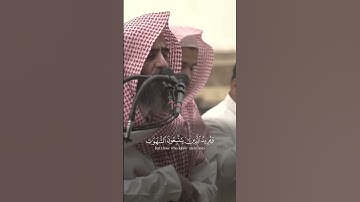 تلاوة خاشعة وهادئة من سورة النساء 💙 #محمد_اللحيدان #قرآن #تلاوات #تلاوات_محمد_اللحيدان💙