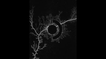 The Last of Us Part I Steam Deck Startup Movie