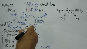Physiology CVS (Capillary circulation) (Non Arabic speakers) @DrMohamedFayez