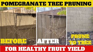 Exclusive Pomegranate Tree Pruning Tips & Tricks Profile