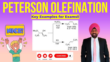 Understanding Peterson Olefination