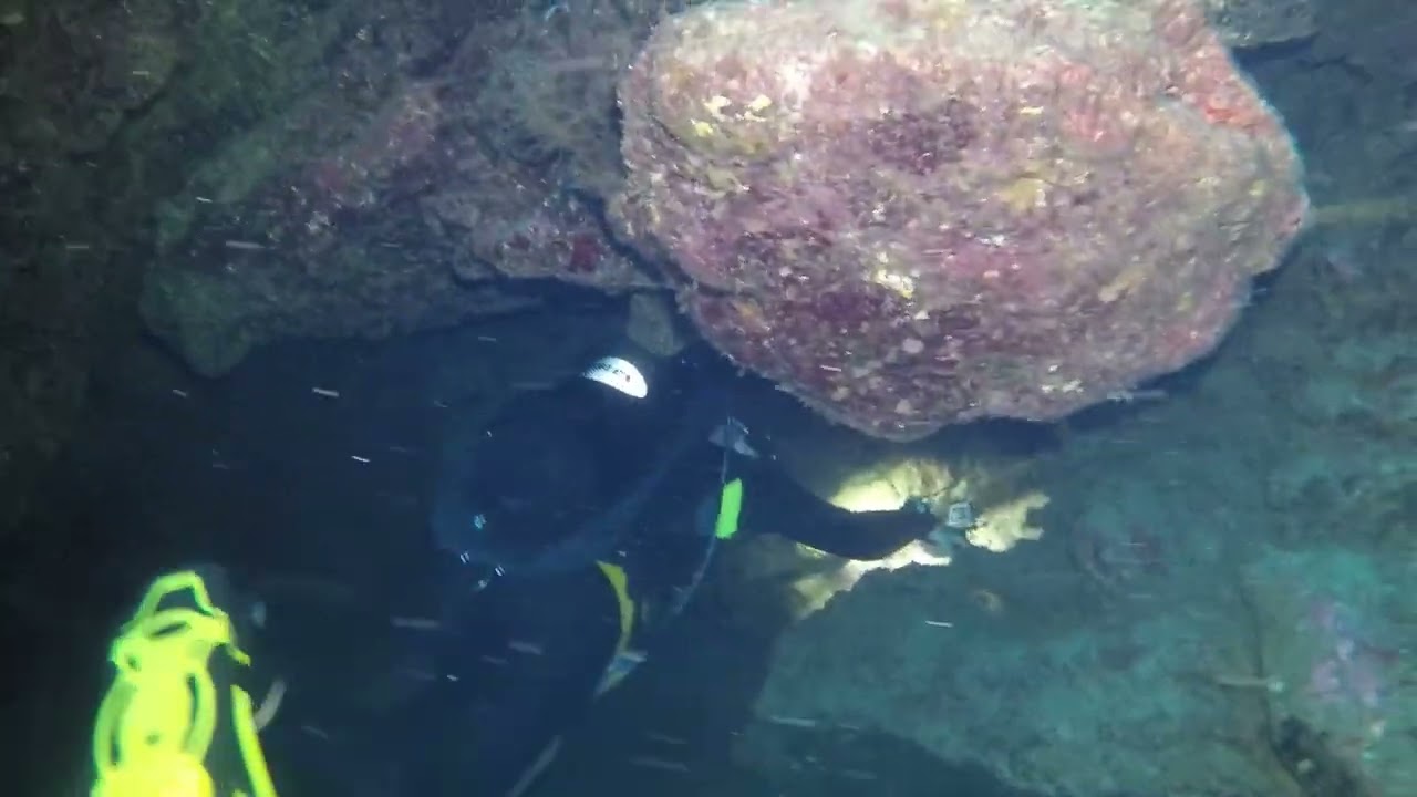 Açores, Santa Maria  - Spot de mergulho "Penedia"