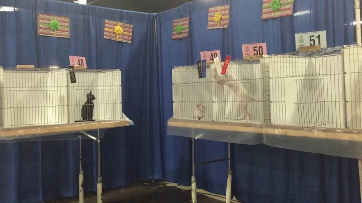 Watch the video about Looks like SKY don`t like those ribbons....