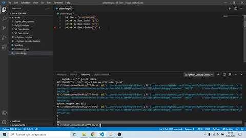 Python Karakter Dizileri: index ve rindex Yöntemleri