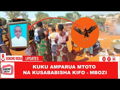 KUKU AMPARUA MTOTO NA KUFARIKI DUNIA MBOZI SONGWE MEDIA