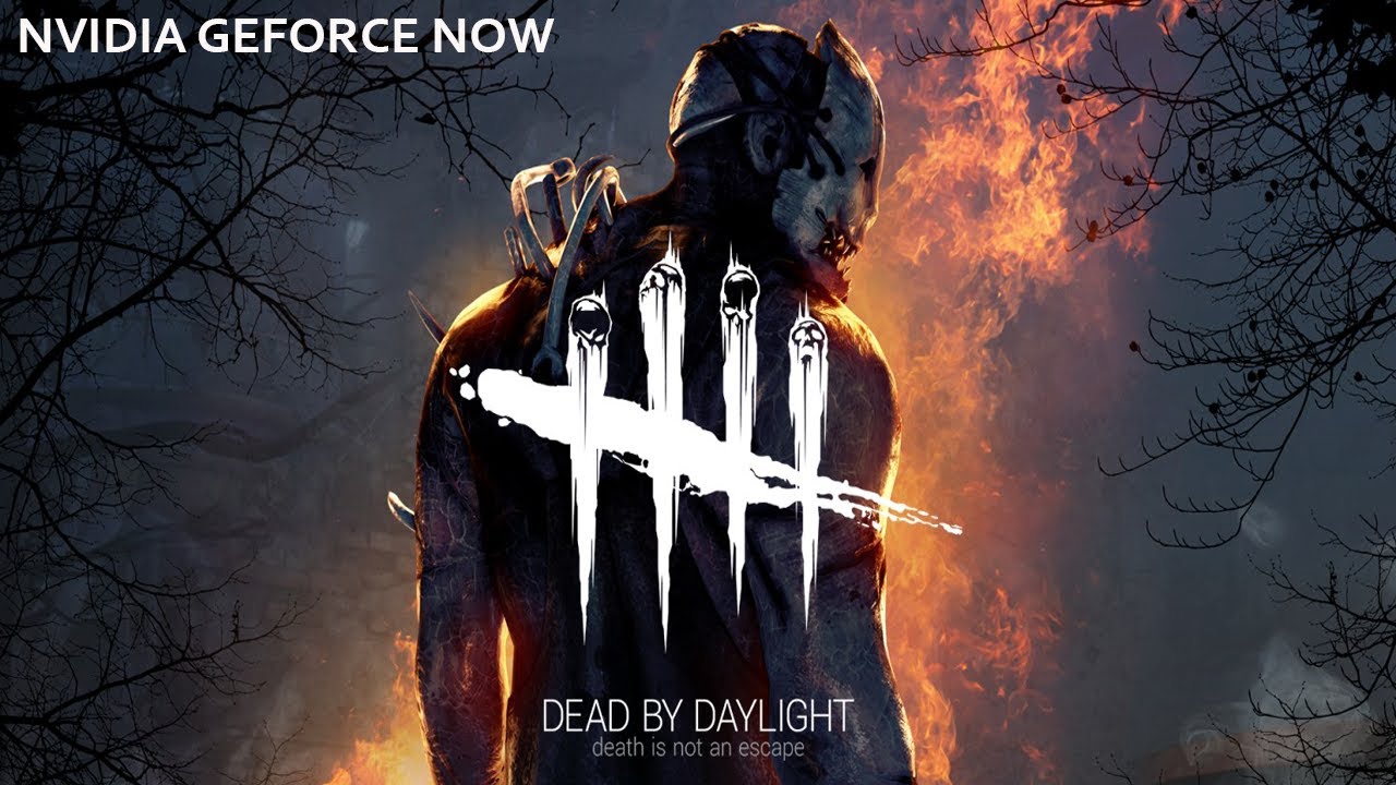 JOGANDO DEAD BY DAYLIGHT NO GEFORCE NOW - JÁ ODEIO ESSE JOGO !! - YouTube