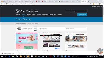 Digiskills Wordpress   Exercise No  2 Solution    How to Download and install Wordpress Theme