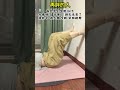 #Lose belly fat#Exercise at home#Body management#Pelvic floor muscle training#Real life sh