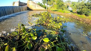 Remove Floating Plants Flow Clogged Under Massive Dam Drain