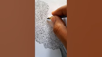 Tree Drawing🌳 || 1 hour Challenge || Watch Till End 🤔 #howtodraw #drawing #art #shorts