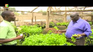 Smart Farm: Vertical Sack Farming