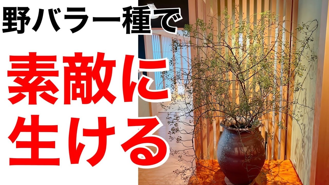 野バラ一種類で素敵に生ける方法 フラワーアレンジメントの作り方 いけばな Ikebana Youtube