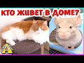 ВСЕ питомцы из нашего дома /ЗООПОКУПКИ К НОВОСЕЛЬЮ / Alisa Easy Pets