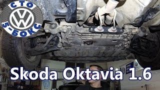 Обзор Skoda Octavia A5 1.6 на СТО