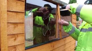 How to fix a broken garden shed window