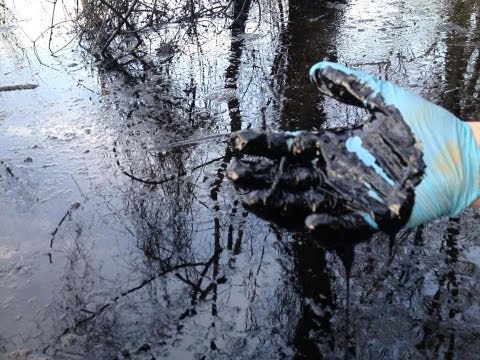 Exxon Oil Spill Appears Diverted into Wetland