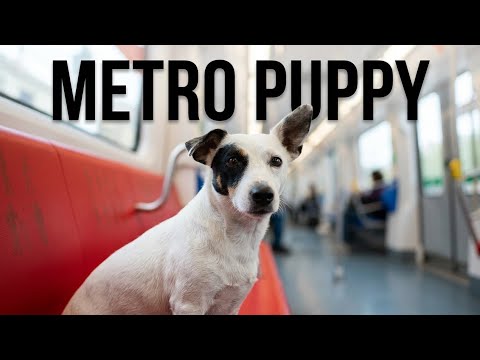 I'm heading to the metro.