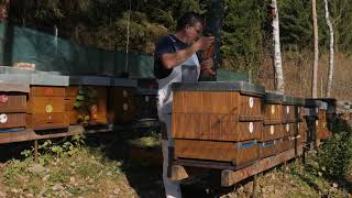 Smart Beehive GSM scale FILIP-WG