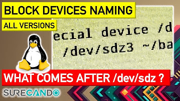 Block devices sda, sdb, sdc. What comes after sdz on an Linux environment?