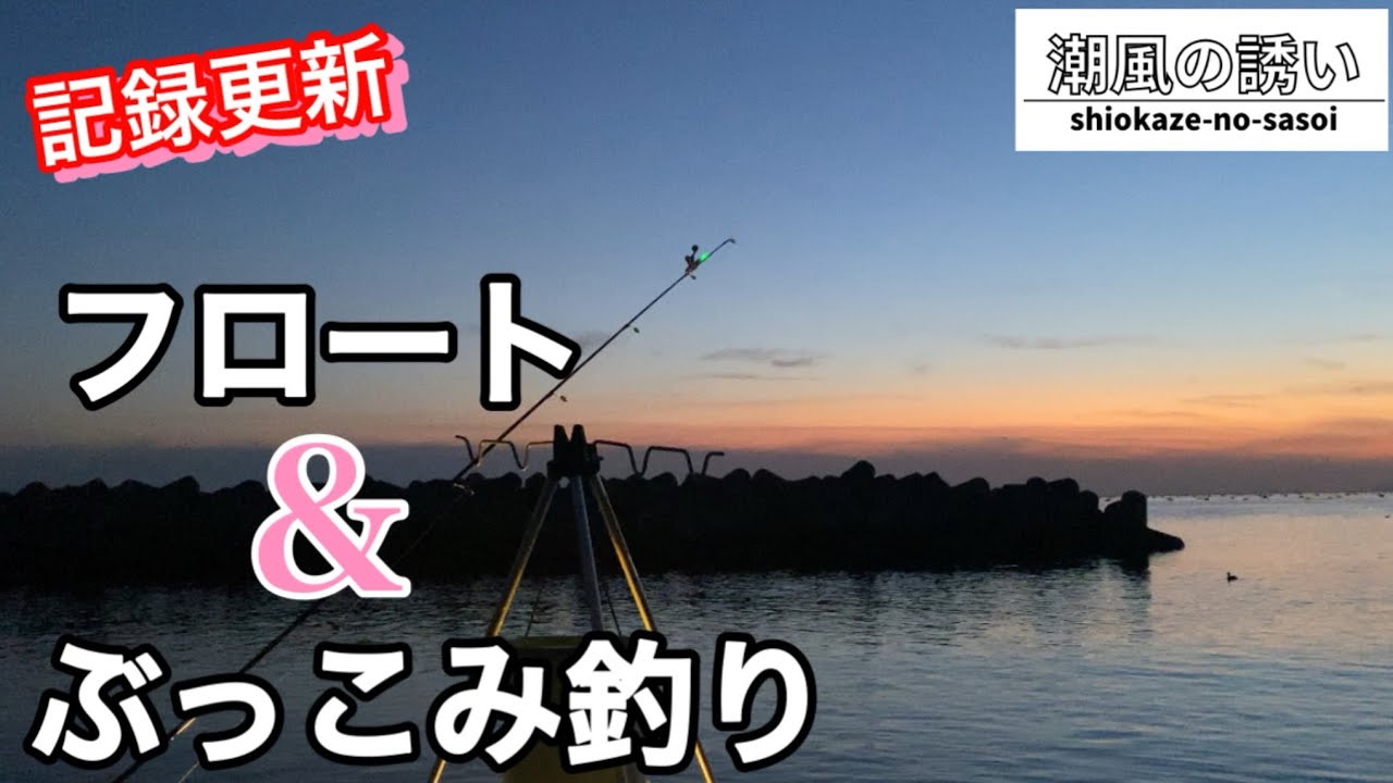 ぶっこみ釣りにフロートで何が釣れた？【美しいサンセット】