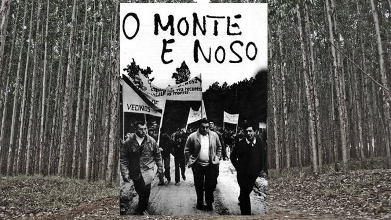 O monte é noso 1978 - Así empezó el desastre del eucalipto en Galicia.   Llorenç Soler