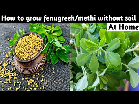 How To Grow