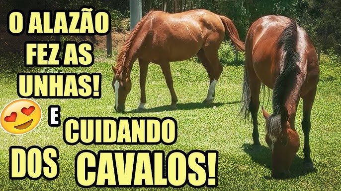 ENCONTREI O MELHOR JOGO DE CAVALO PARA PC! That Horse Game 