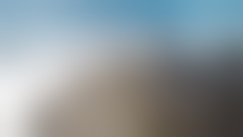 Baboon Hunting with the Dynamic Targeting Reticle