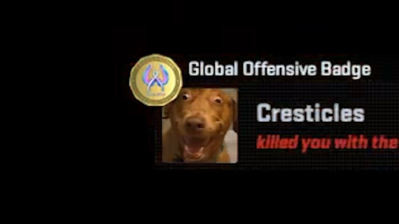 CSGO makes me crazy