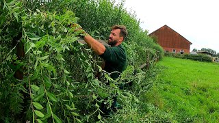 This Farm NEEDS SATISFYING Pruning Of OVERGROWN Hedge Next To Stables by Kustorez 476,198 views 9 months ago 46 minutes