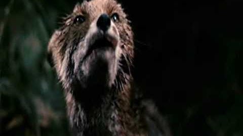 Current Value + Dean Rodell (MACHINE CODE) - Corridor