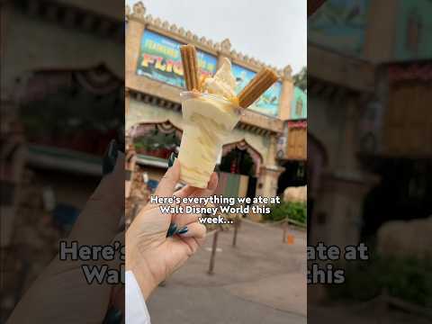 Everything We Ate at Disney World This Week