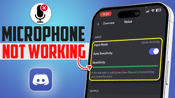 How to Fix Microphone Not Working in Discord on iPhone | Microphone Won