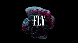 (FREE) Future x Drake Type beat FLY